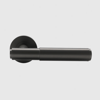 Luma Gunmetal Door Handle - Zephra - Door HandleLUM-DH-GM